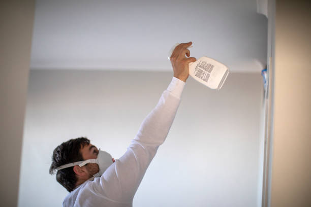 Best Kitchen Mold Remediation in Unt Vernon, MO