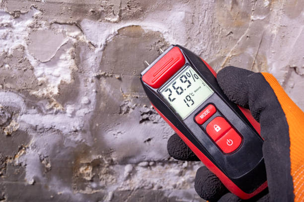 Best Post-Flood Mold Remediation in Unt Vernon, MO